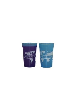 BWM Stadium Cup